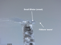 blistering_FFC_SKP_1_with_marks